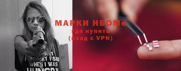 шишки Верея