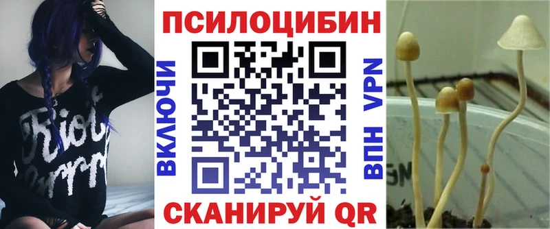 Галлюциногенные грибы MAGIC MUSHROOMS  купить наркотик  Емва 